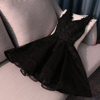 Lovely Black Lace V-Neckline Short Homecoming Dresses Black Prom Dresses