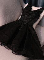 Lovely Black Lace V-Neckline Short Homecoming Dresses Black Prom Dresses