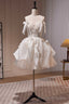 Lovely Spaghetti Strap Lace Short Prom Dress, Light Champagne Prom Dress