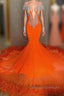 Mermaid V Neck Beaded Sequined Floor Length Long Sleeves With Feather Prom Dresses