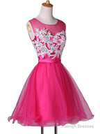New Appliqued A-Line Tulle Scoop Short Homecoming Dresses See Through