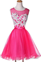 New Appliqued A-Line Tulle Scoop Short Homecoming Dresses See Through