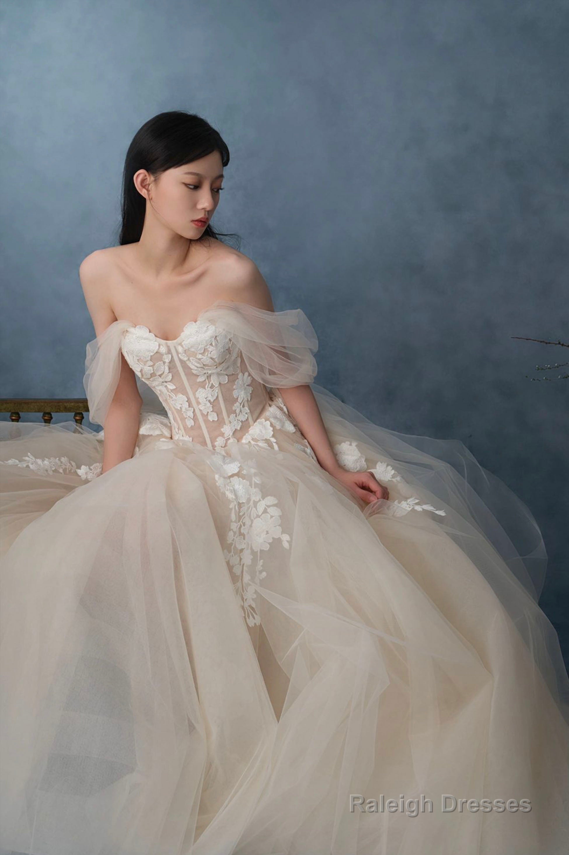 Off The Shoulder Lace Long Champagne Prom Dress, Lace Evening Formal Gown