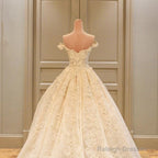 Off The Shoulder Lace Wedding Dresses Ball Gown
