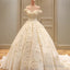 Off The Shoulder Lace Wedding Dress Ball Gowns