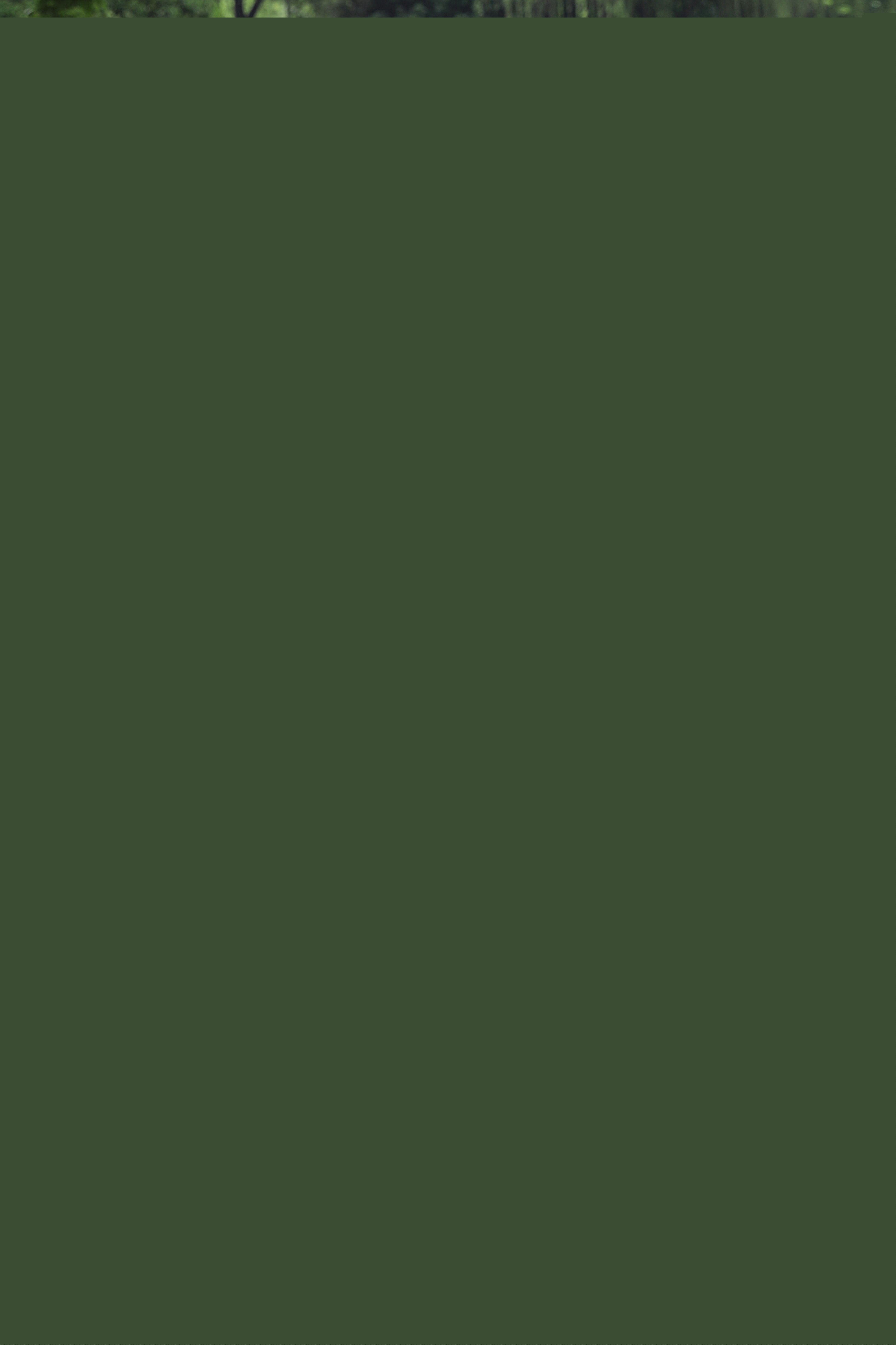 Green Prom Dresses Sexy Mermaid Women Prom Dress Sleeveless Open Back