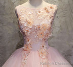 Pink Ball-Gown Organza Floor-Length Prom Dress with Appliqued
