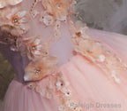 Pink Ball-Gowns Organza Floor Length Prom Dress with Appliqued