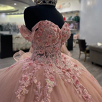 Pink Lace Long Prom Dress Ball Gowns Sweet 16 Dress