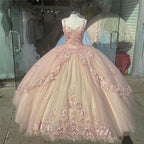 Pink Sparkly Quinceanera Prom Dress Lace Flower Sweet 16 Tulle Prom Ball Gowns