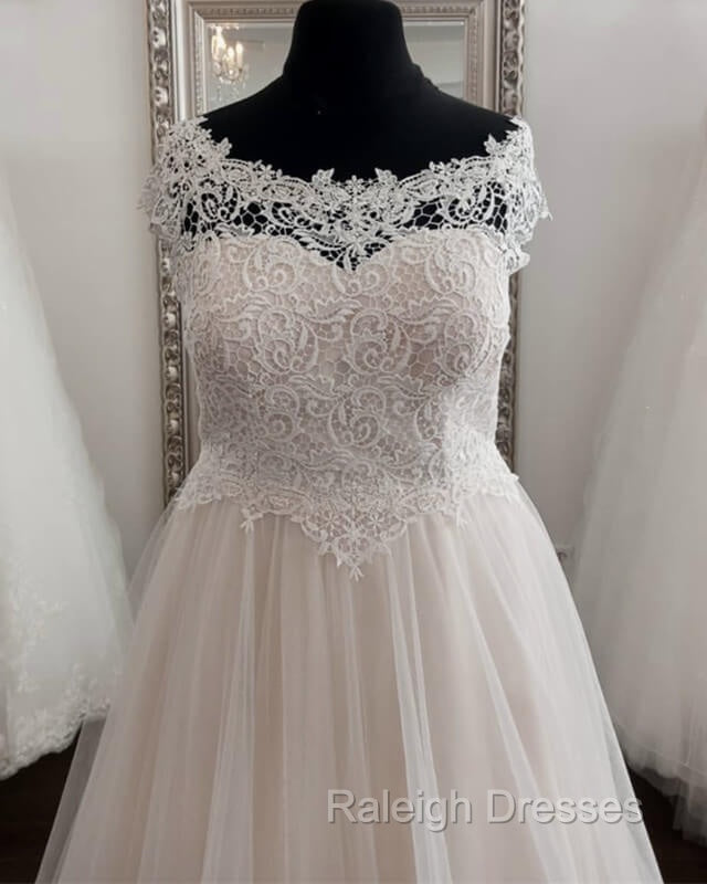 Plus Size A-Line Tulle Embroidery Wedding Dress
