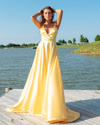 D1070 Popular Yellow Prom Dress Long Prom Dress Cross Back Prom Dresses