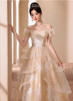 Princess Champagne Gold A-Line Embroidered Tulle Long Formal Prom Dress