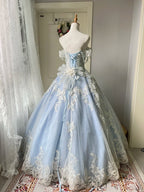 Princess Light Blue Lace Tulle Ball Gown Prom Dress Sweet 16Th Dress