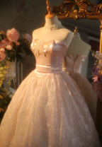 Princess Light Pink Strapless Lace Ball Gown Prom Dress Sweet 16 Dress