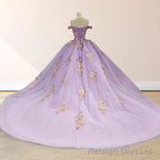 Princess Off the Shoulder Appliques Court Train Quinceanera Dresses