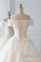Princess Off The Shoulder Tulle Wedding Dress With Lace Appliques Elegant Beautiful