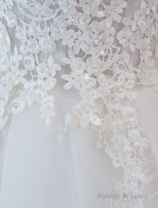 Princess Wedding Dress Ball Gown Lace V Neck Sleeveless Floor Length Bridal Gown