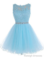 Lace Blue Fitted Short Cute Sweet 16 For Teens Homecoming Dresses