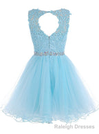 Lace Blue Fitted Short Cute Sweet 16 For Teens Homecoming Dresses