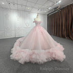 Quinceanera Ball Gowns Off-the-Shoulder Sequined Pink Dress