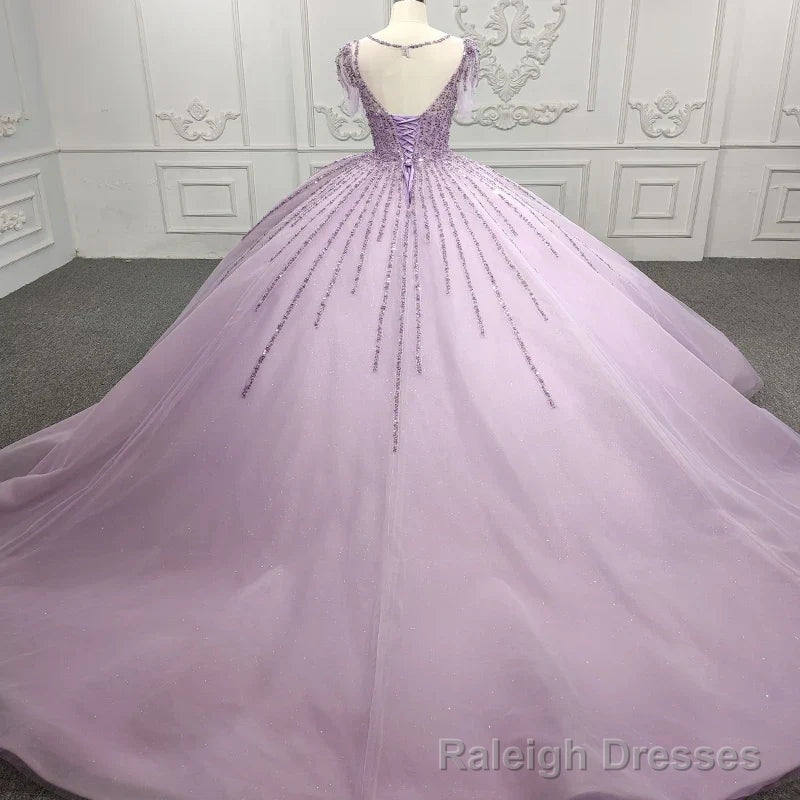 Quinceanera Dress Princess Sheer Neck Long Prom Dresses Short Sleeves Ball Gowns