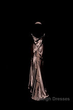 Retro Mermaid V Neckline Chiffon Brown Evening Dress Prom Dresses