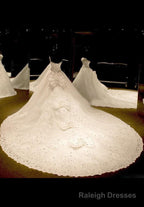 Tulle Chapel Train Ball Dresses