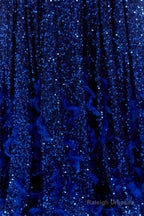 Sequins Long Sleeve Feather A-line Floor Length Prom Dresses