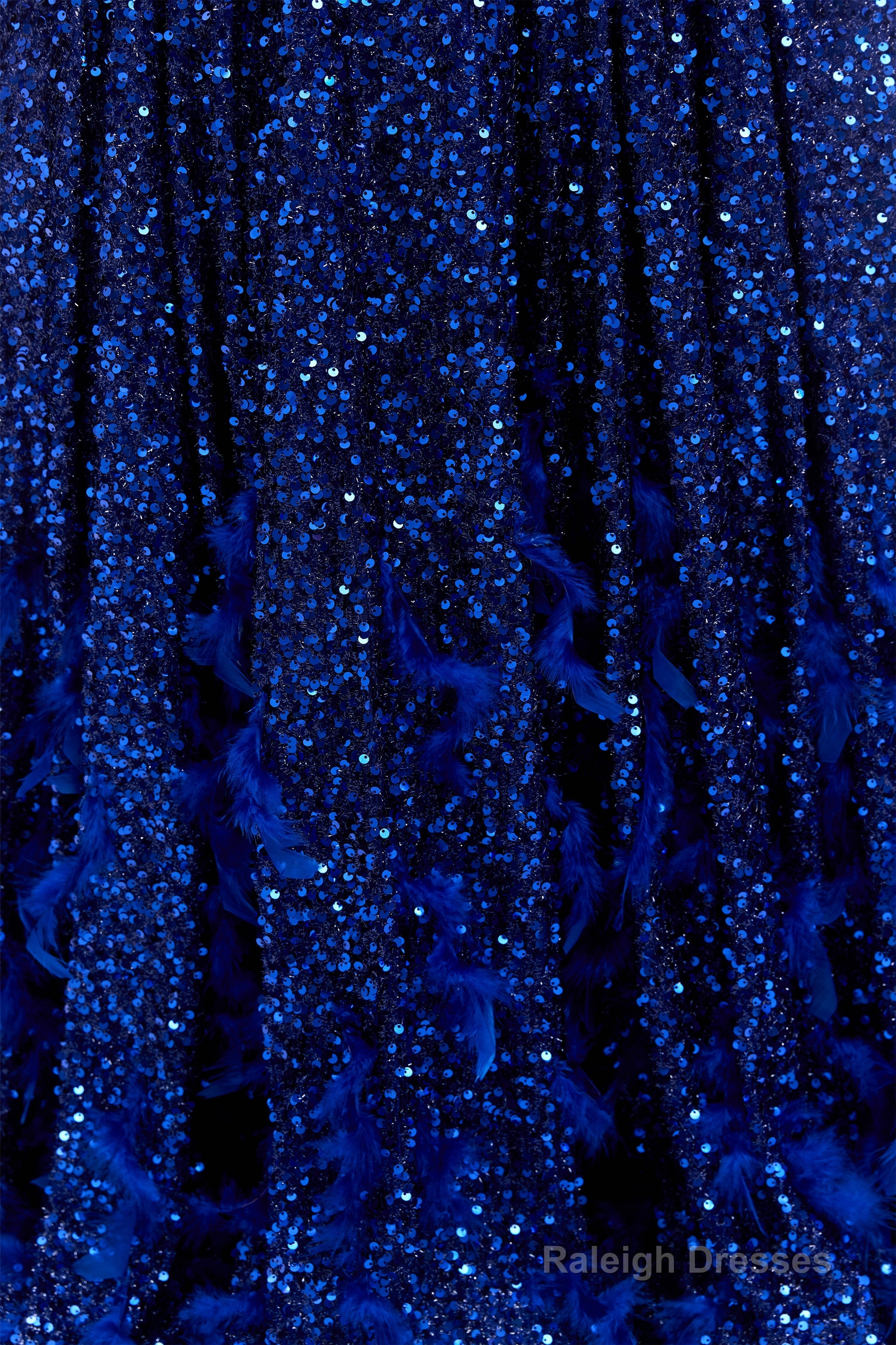 Sequins Long Sleeve Feather A-line Floor Length Prom Dresses