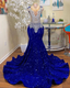 Sequins Royal Blue Prom Dresses Long Beaded Wedding Dresses Reception Dresses Renewal Dresses
