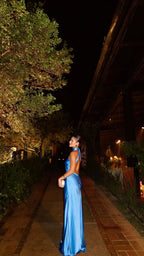 Sheath Blue Prom Gowns Prom Dress