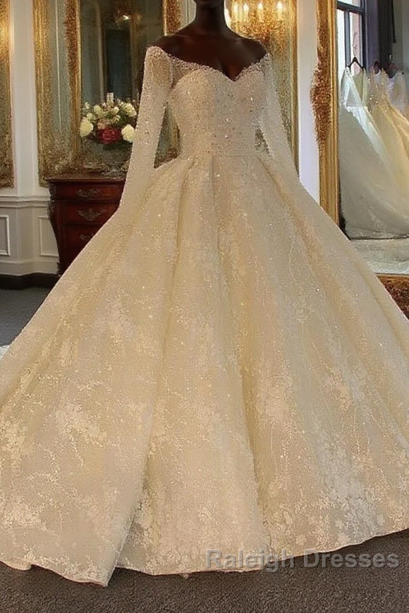Shinny Long Ball Gown Sweetheart Tulle Lace Wedding Dress with Sleeves Main image