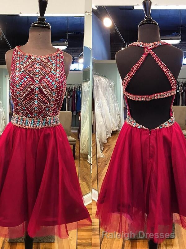 Short Prom Dress Scoop Homecoming Dresses A Line Homecoming Dress Main image