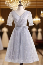 Silver A-Line Short Party Dress Birthday Dress With Short Sleeves Homecoming Dress