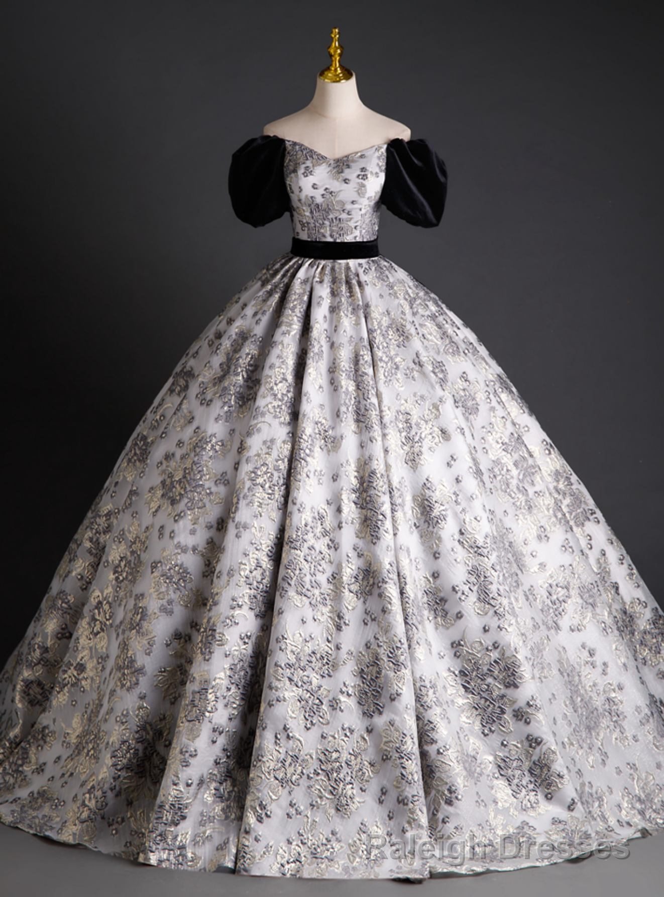 Silver Gray Ball Gown Black Velvet Short Sleeve Quinceanera Dress Main image