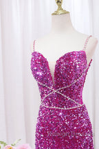 Simple Mermaid Sequin Long Prom Dress, Sequin Long Evening Dress