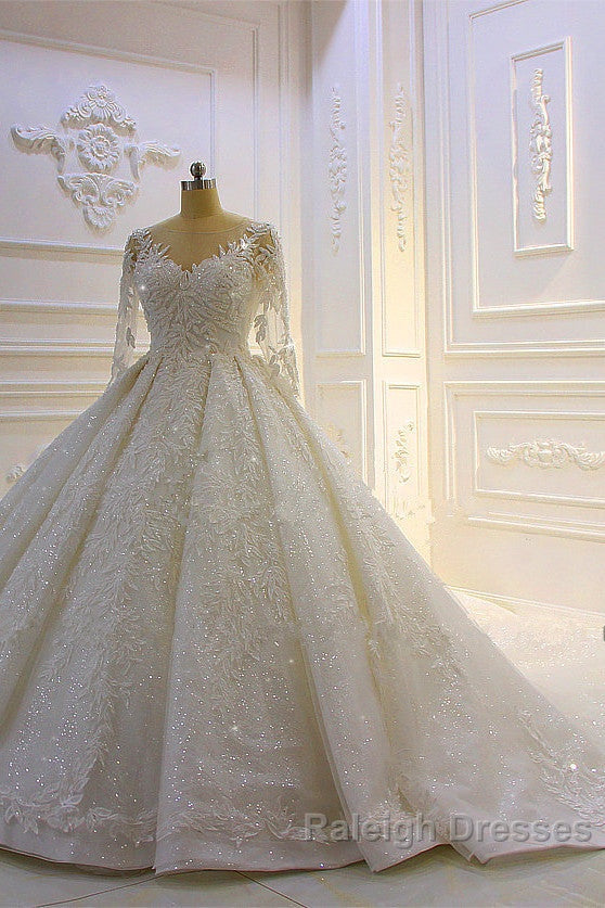 Sparkle 3D Lace Appliques Long Sleevess Church Train Wedding Dresses