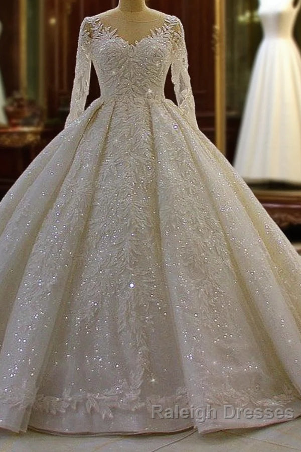 Sparkle 3D Lace Appliques Long Sleevess Church Train Wedding Dresses