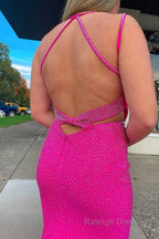 Sparkly Hot Pink Mermaid Sequins Open Back Long Prom Dress
