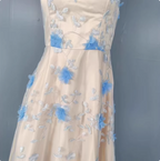 Sweet A-Line 3D Floral Embroidery Tulle Long Formal Prom Dress