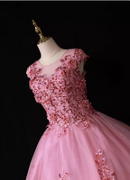 Sweet Princess Pink Crew Neck Embroidered Tulle Long Formal Prom Dress