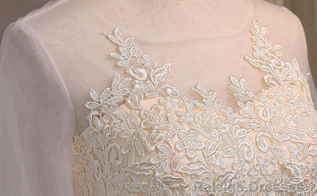 Three-Quarter Illusion Sleeve Clairvoyant Outfit Keyhole Lace Up Back Organza Appliques Homecoming Dress