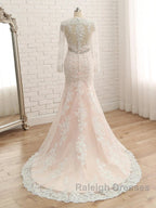 Trumpet/Mermaid V-Neck Long Sleeves Applique With Rhinestone Tulle Floor-Length Wedding Dresses