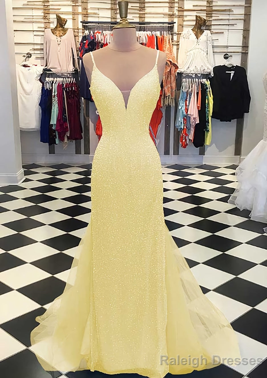 Trumpet/Mermaid V Neck Sleeveless Court Train Lace Tulle Prom Dresses