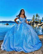 Tulle Princess Off Shoulder Long Prom Dresses Long Strapless Pink Flower Appliqu¨¦S Prom Dresses