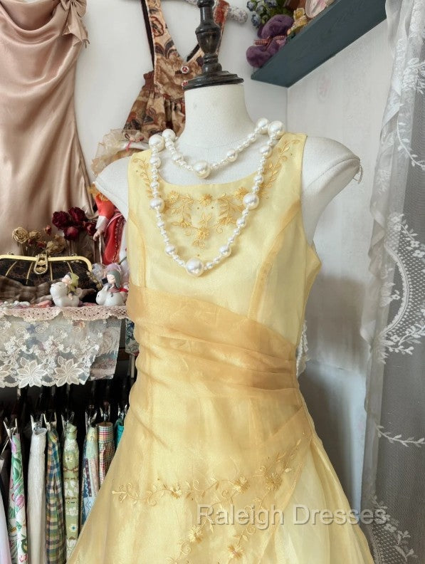 Vintage Yellow A-Line Boat Neck Tulle Long Prom Dress Simple Embroidery Applique Evening Dress Secondary image
