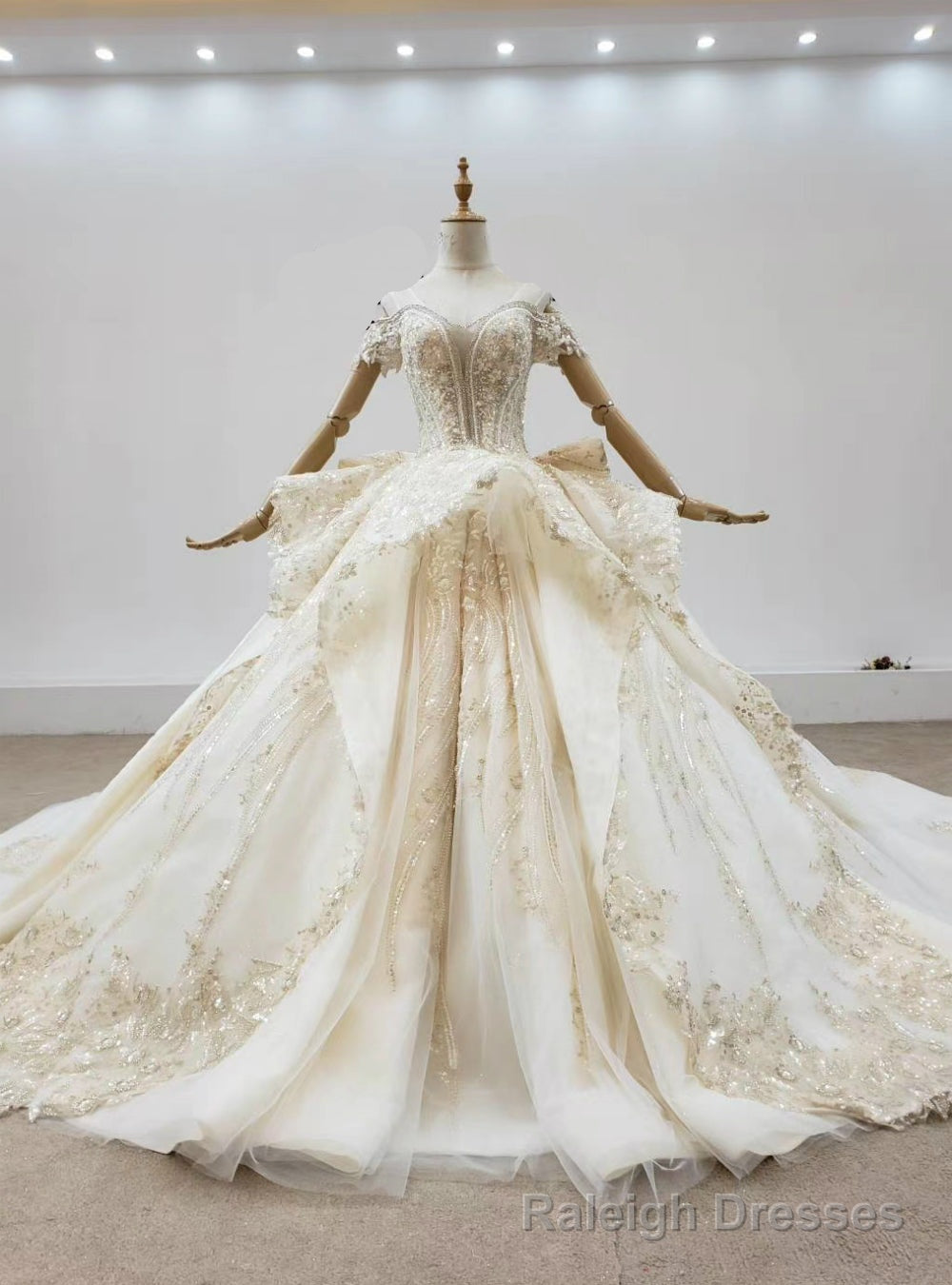 Want Champagne Tulle Appliques Sequins Off the Shoulder Wedding Dress With Train Main image